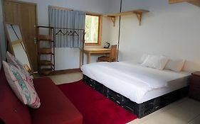 LoTide Surf Camp